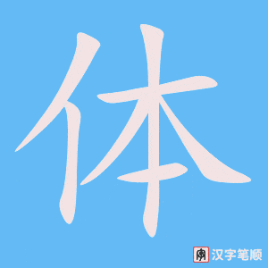 《体》的笔顺动画写字动画演示