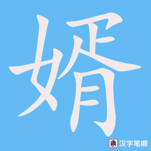 《婿》的笔顺动画写字动画演示
