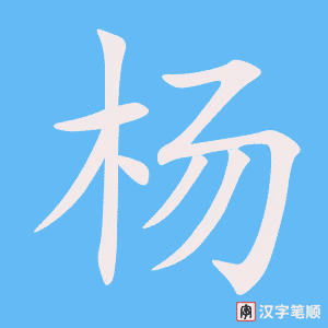 《杨》的笔顺动画写字动画演示