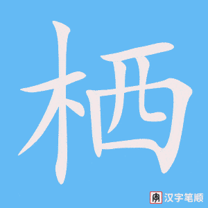 《栖》的笔顺动画写字动画演示