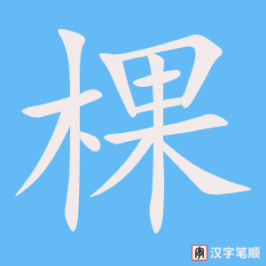 《棵》的笔顺动画写字动画演示