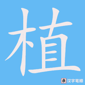 《植》的笔顺动画写字动画演示