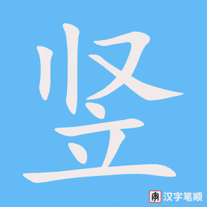 《竖》的笔顺动画写字动画演示