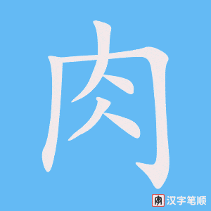 《肉》的笔顺动画写字动画演示