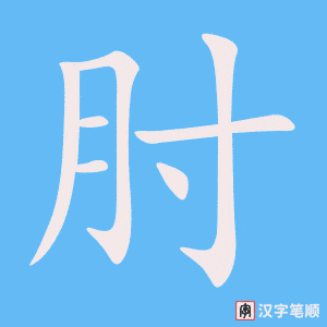 《肘》的笔顺动画写字动画演示