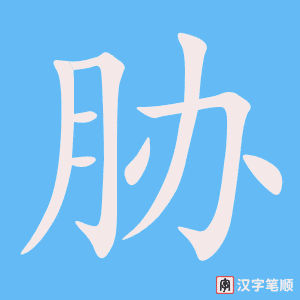 《胁》的笔顺动画写字动画演示