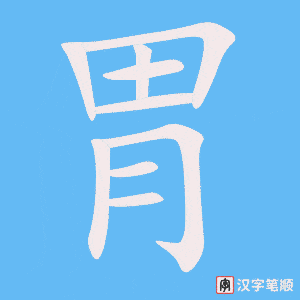 《胃》的笔顺动画写字动画演示