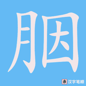 《胭》的笔顺动画写字动画演示