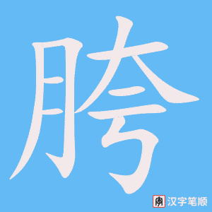 《胯》的笔顺动画写字动画演示