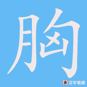 《胸》的笔顺动画写字动画演示