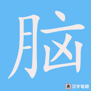 《脑》的笔顺动画写字动画演示