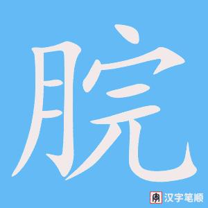 《脘》的笔顺动画写字动画演示