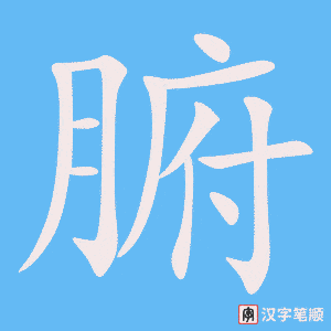 《腑》的笔顺动画写字动画演示