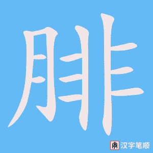 《腓》的笔顺动画写字动画演示