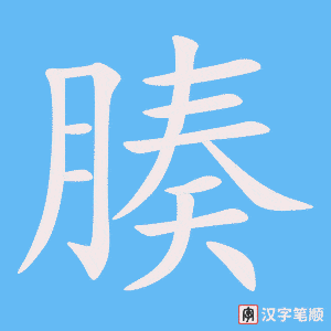 《腠》的笔顺动画写字动画演示