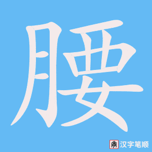 《腰》的笔顺动画写字动画演示