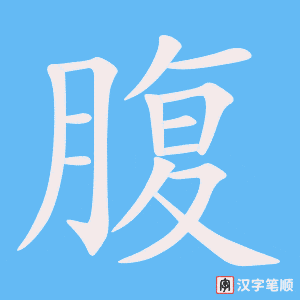 《腹》的笔顺动画写字动画演示