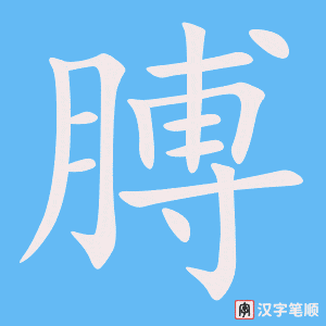 《膊》的笔顺动画写字动画演示