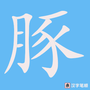 《豚》的笔顺动画写字动画演示