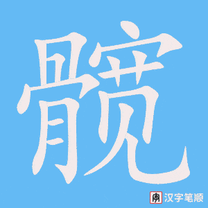 《髋》的笔顺动画写字动画演示