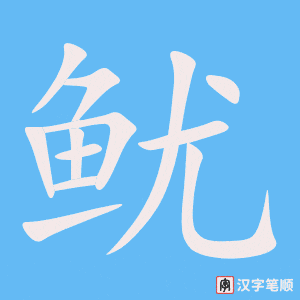 《鱿》的笔顺动画写字动画演示