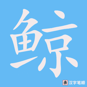 《鲸》的笔顺动画写字动画演示