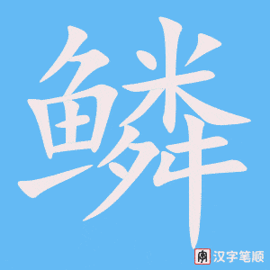 《鳞》的笔顺动画写字动画演示