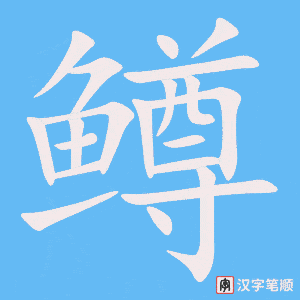 《鳟》的笔顺动画写字动画演示