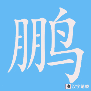 《鹏》的笔顺动画写字动画演示
