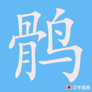 《鹘》的笔顺动画写字动画演示