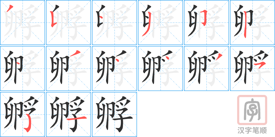 《孵》的笔顺分步演示（一笔一画写字）
