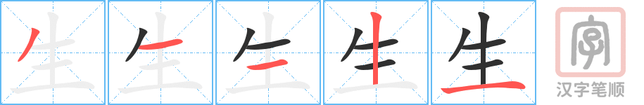 《生》的笔顺分步演示（一笔一画写字）