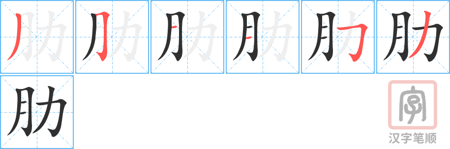《肋》的笔顺分步演示（一笔一画写字）