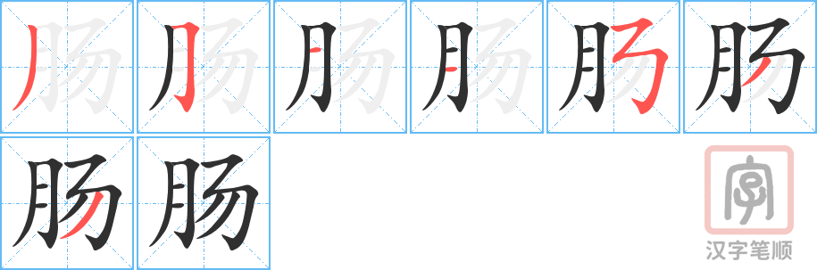 《肠》的笔顺分步演示（一笔一画写字）