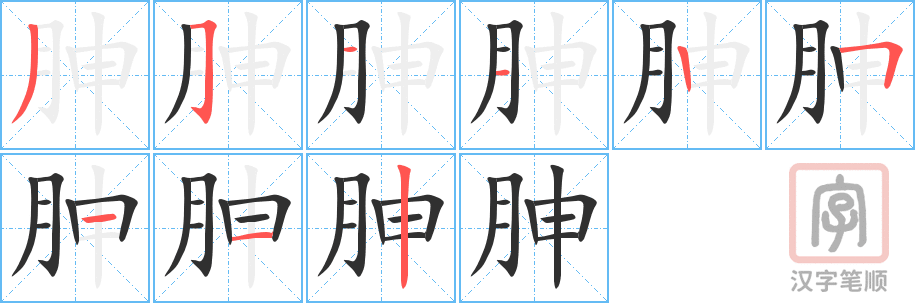 《胂》的笔顺分步演示（一笔一画写字）