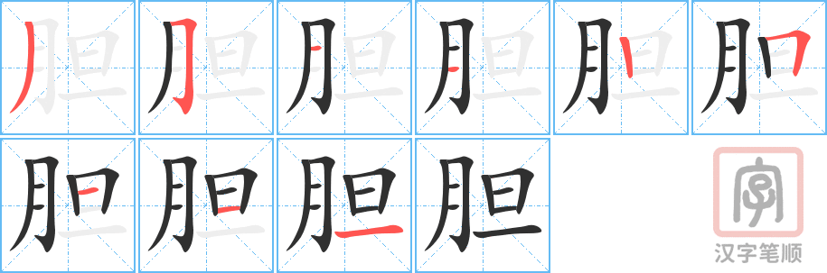 《胆》的笔顺分步演示（一笔一画写字）