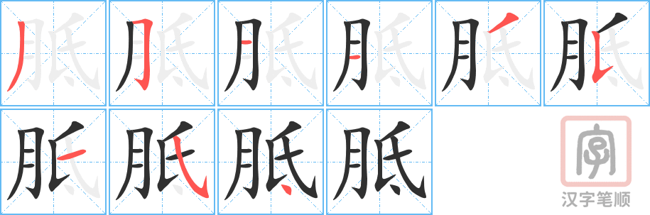 《胝》的笔顺分步演示（一笔一画写字）