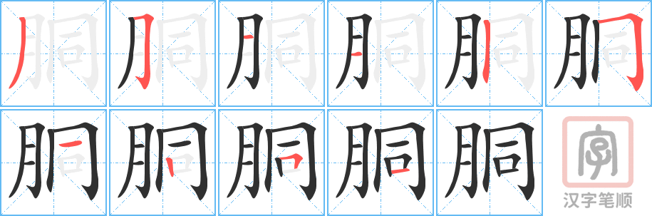 《胴》的笔顺分步演示（一笔一画写字）