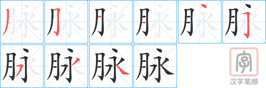 《脉》的笔顺分步演示（一笔一画写字）