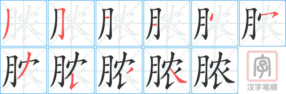 《脓》的笔顺分步演示（一笔一画写字）