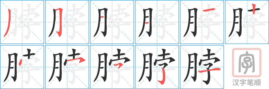 《脖》的笔顺分步演示（一笔一画写字）
