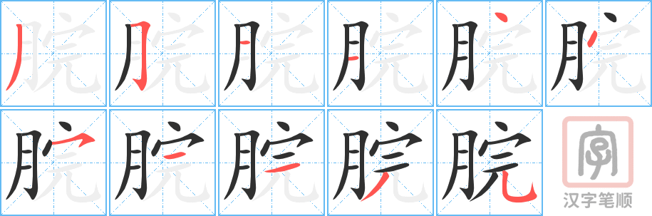 《脘》的笔顺分步演示（一笔一画写字）