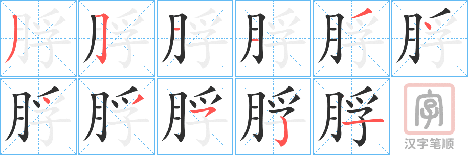 《脬》的笔顺分步演示（一笔一画写字）