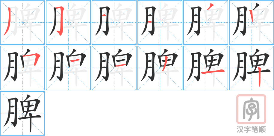 《脾》的笔顺分步演示（一笔一画写字）