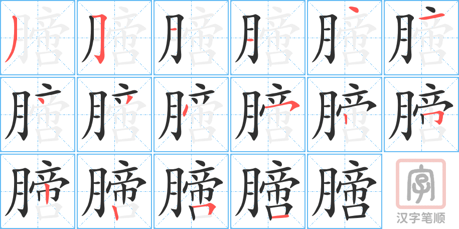 《膪》的笔顺分步演示（一笔一画写字）