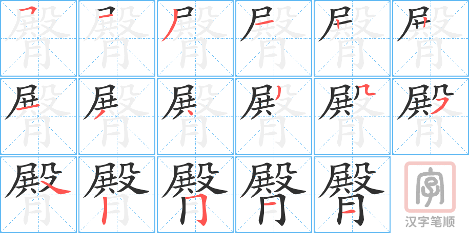《臀》的笔顺分步演示（一笔一画写字）