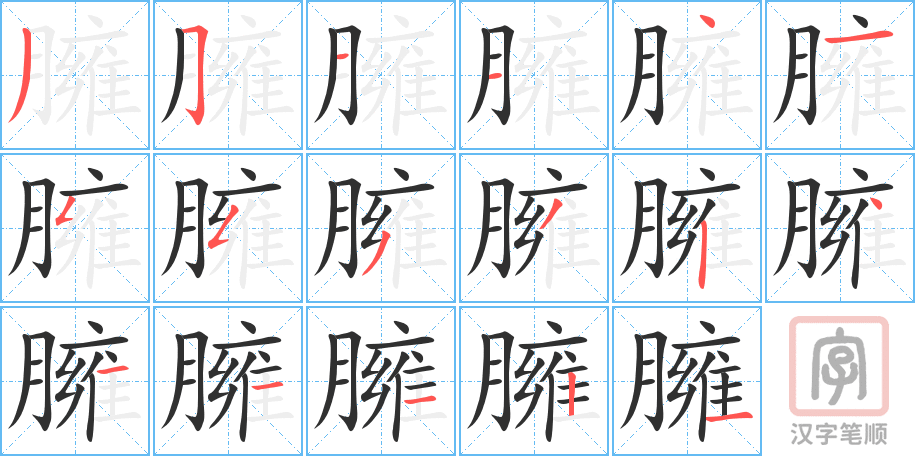 《臃》的笔顺分步演示（一笔一画写字）