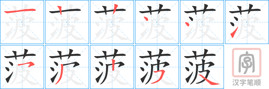 《菠》的笔顺分步演示（一笔一画写字）