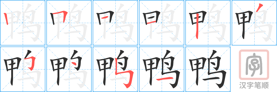 《鸭》的笔顺分步演示（一笔一画写字）