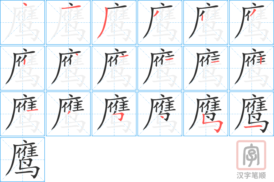 《鹰》的笔顺分步演示（一笔一画写字）